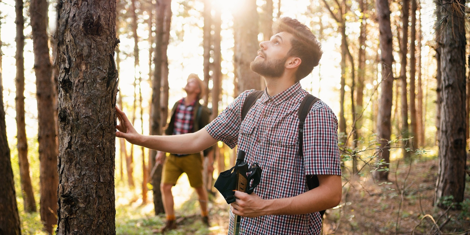 Banner image for Wonder in the Forest