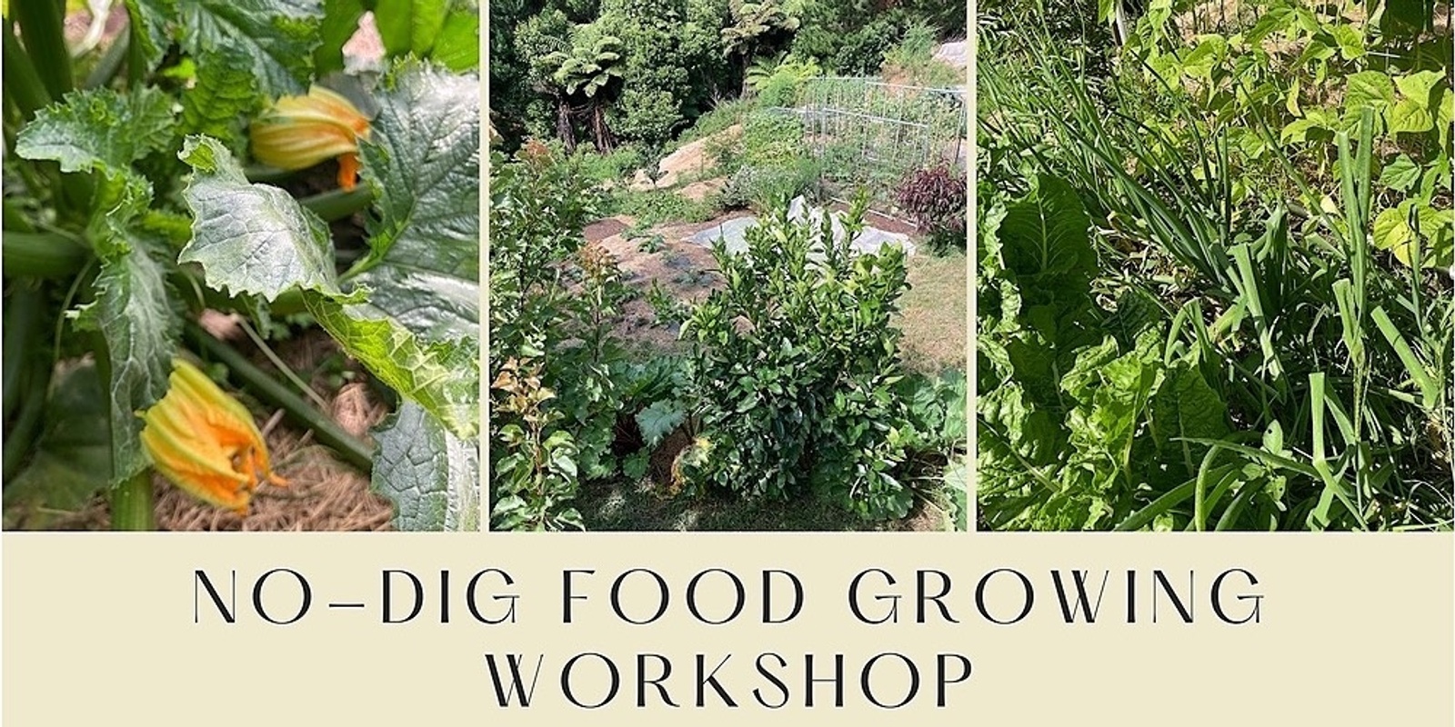 No-Dig Food Growing Workshop