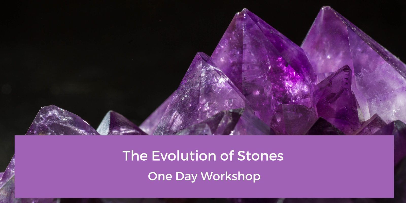 Banner image for The Evolution of Stones