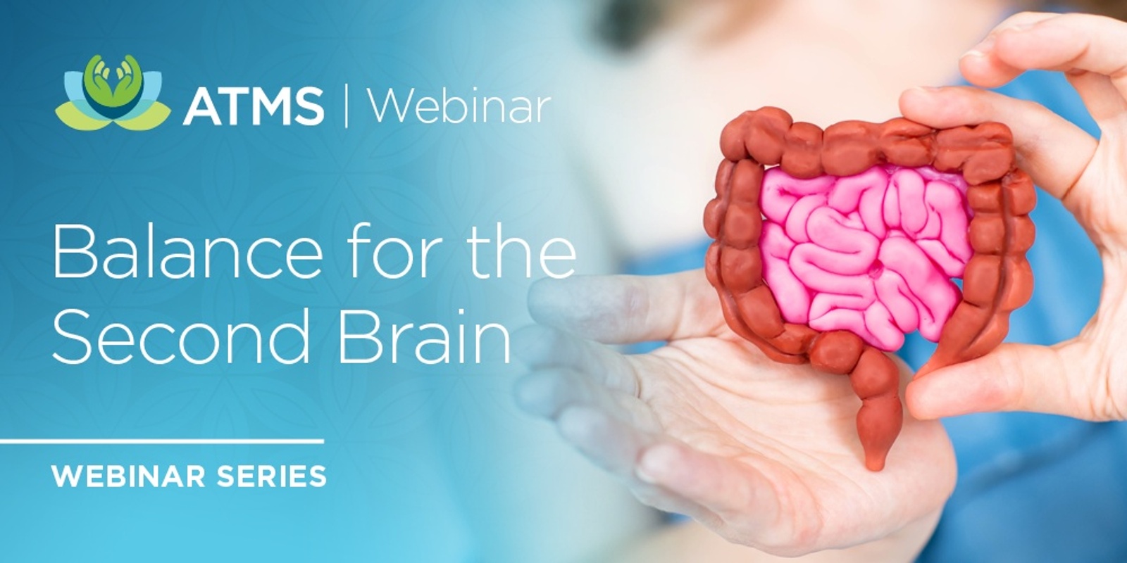 Recordings of the Webinar Series: Balance for the Second Brain