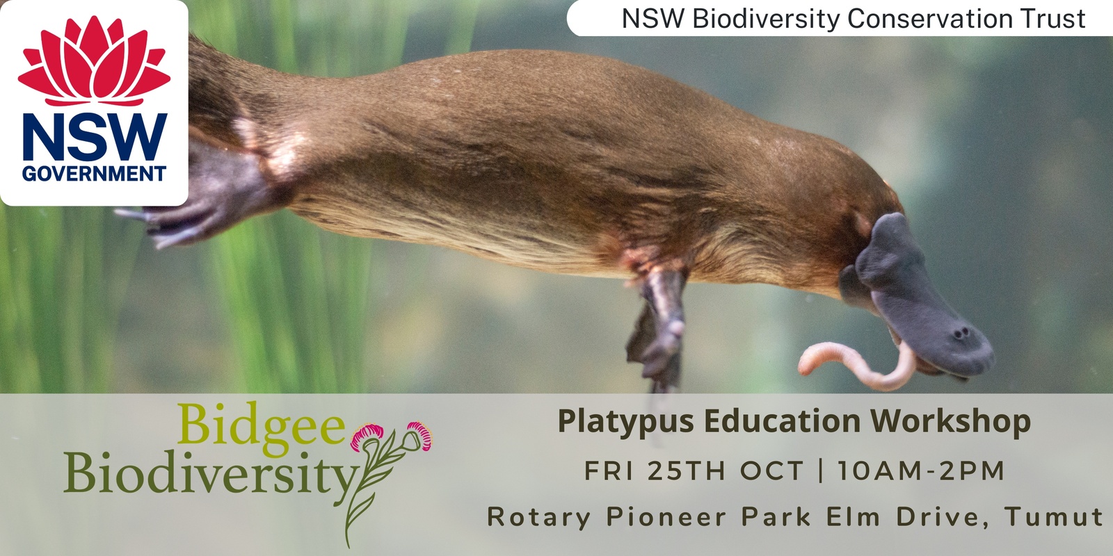 Banner image for Platypus Education Workshop