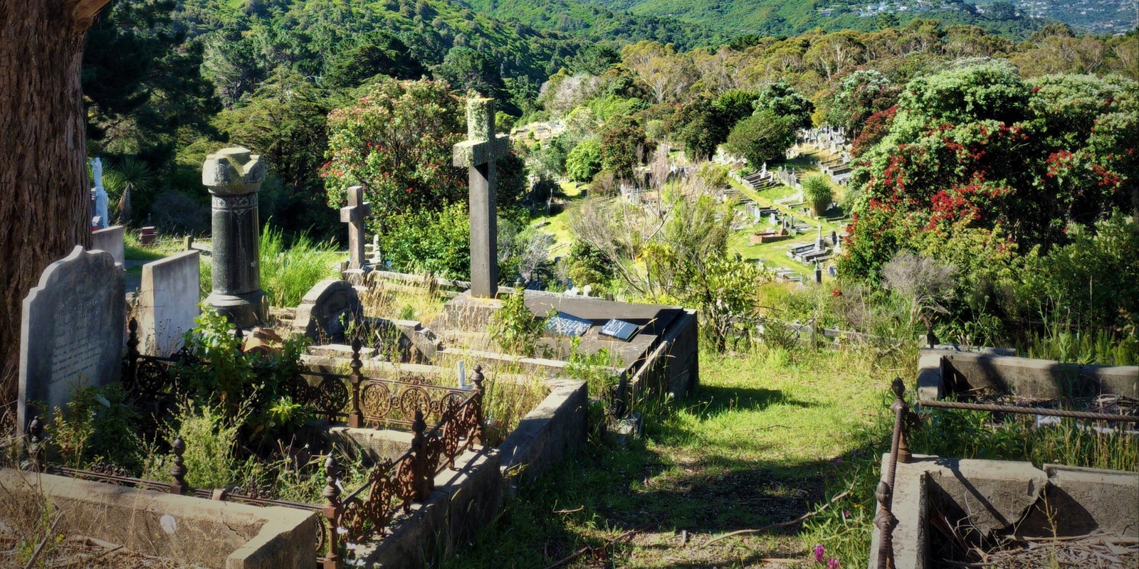 Banner image for Friends of Karori Cemetery: Off the Beaten Track Tour (May 2024)