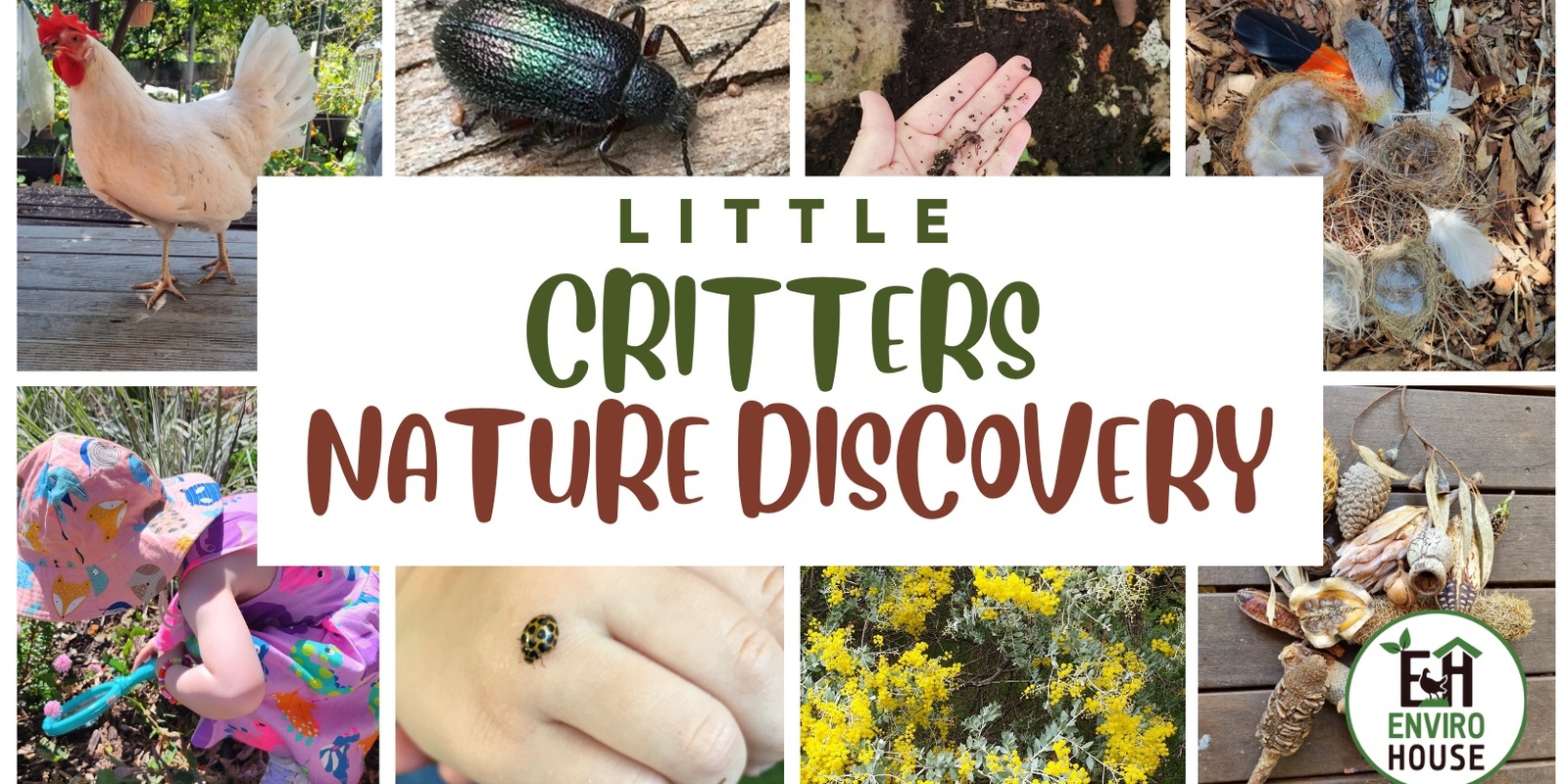 Banner image for Little Critters Nature Discovery - Tuesdays 5 - 26 November, 9.30am 