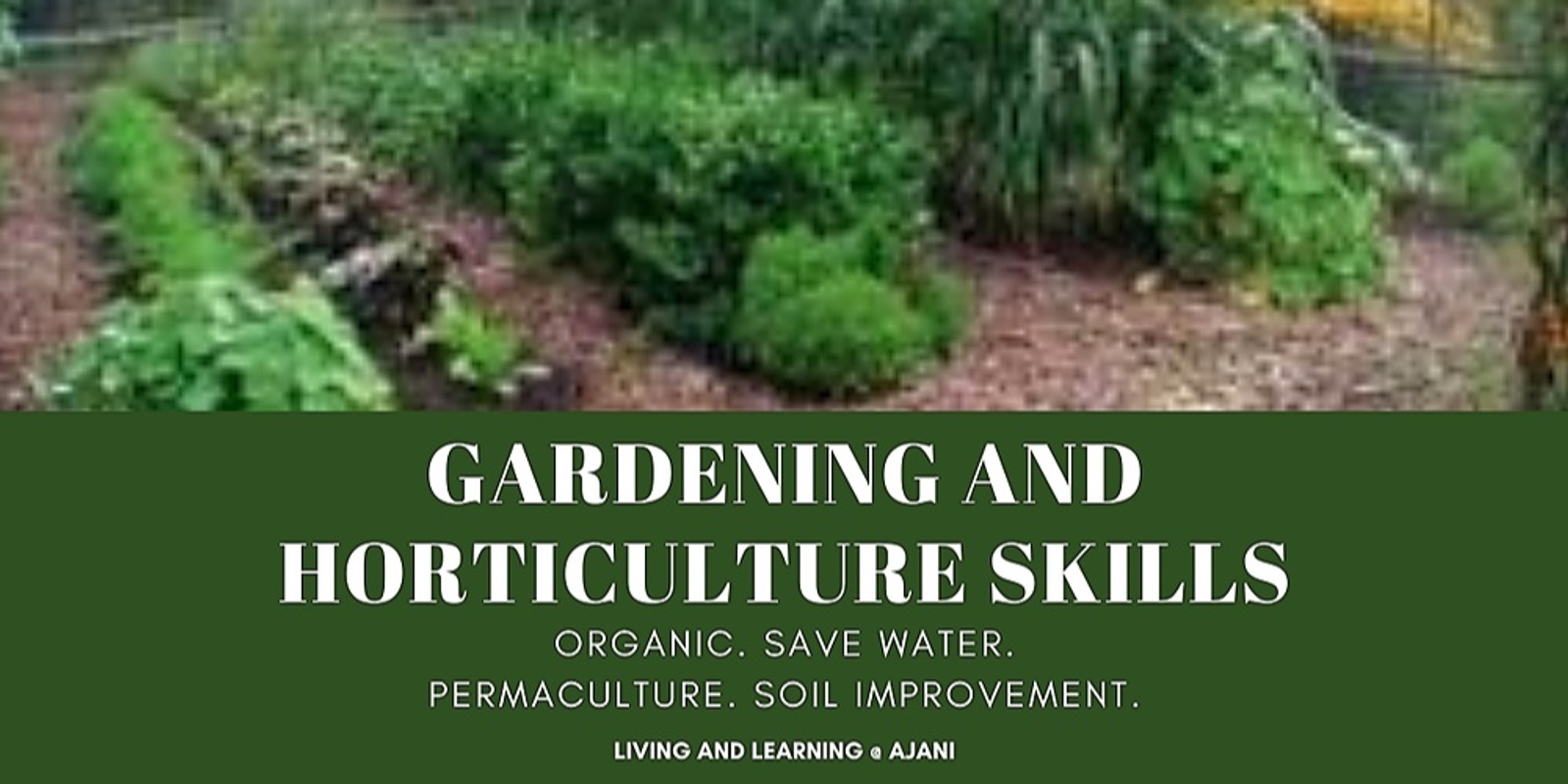 Gardening and Horticulture Skills (Term 1 2023)