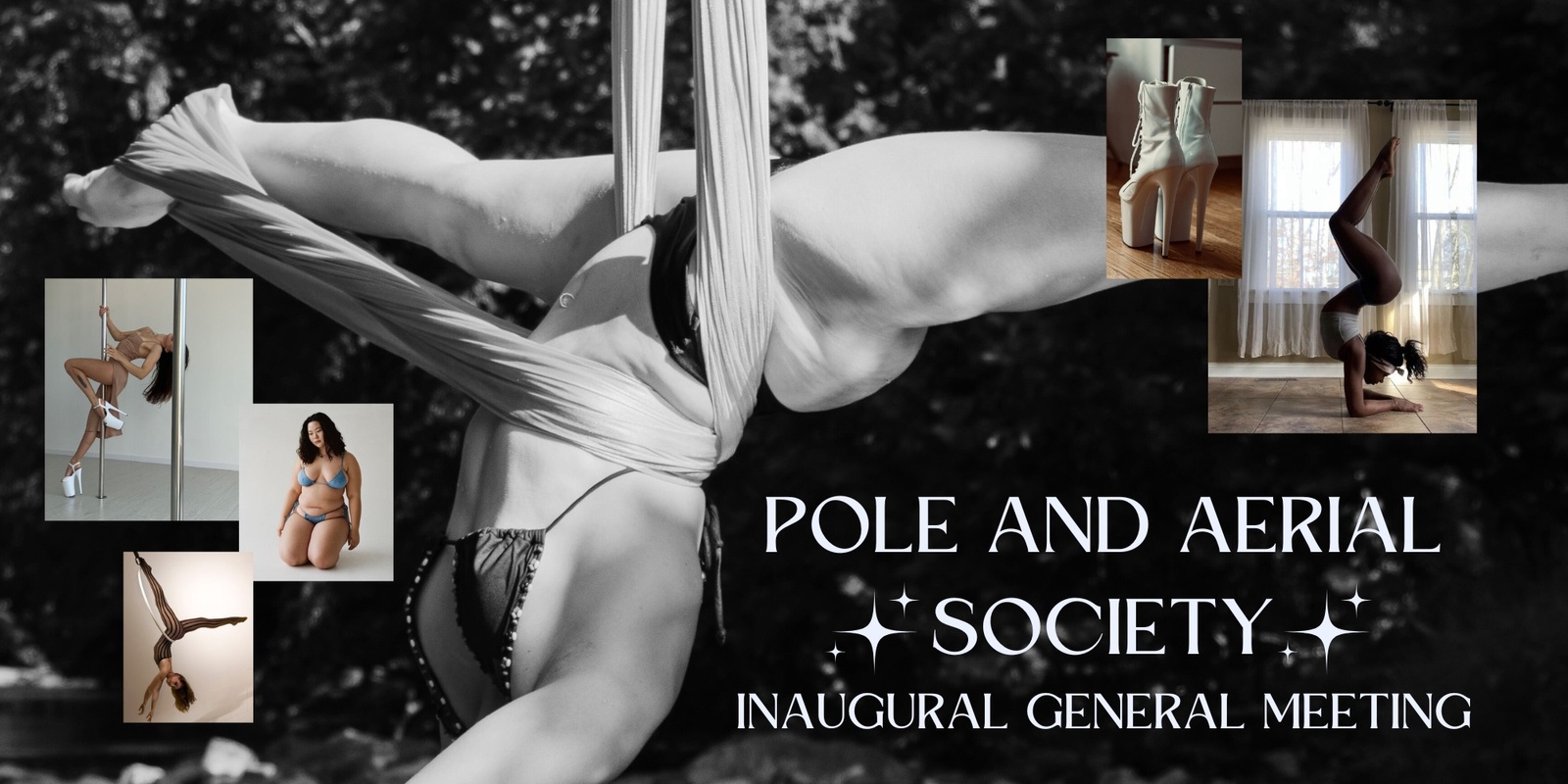 Banner image for Pole and Aerial Society IGM!