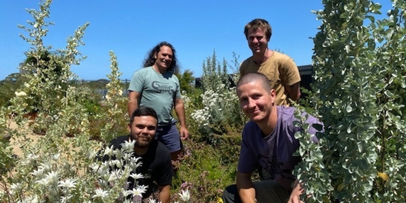 Banner image for South Eveleigh Naidoc Week Jiwah Planting Day