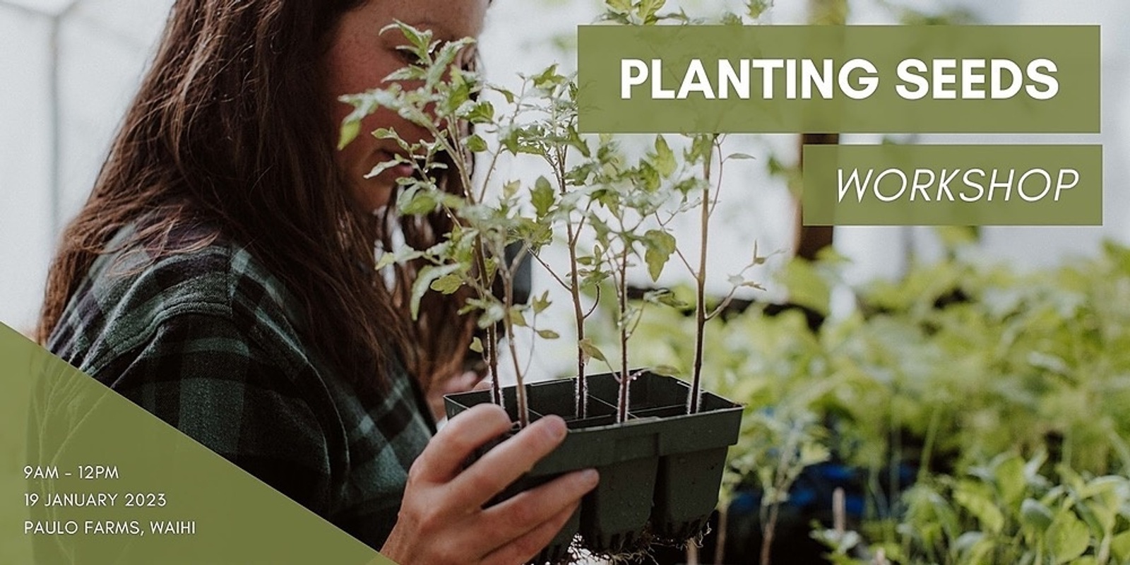 Banner image for Planting Seeds