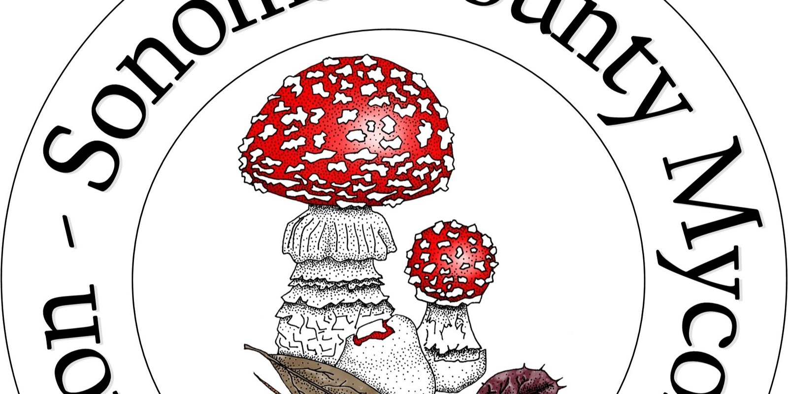 Banner image for Dec 23rd, 2023 - Wild Mushroom Foray at Salt Point State Park 