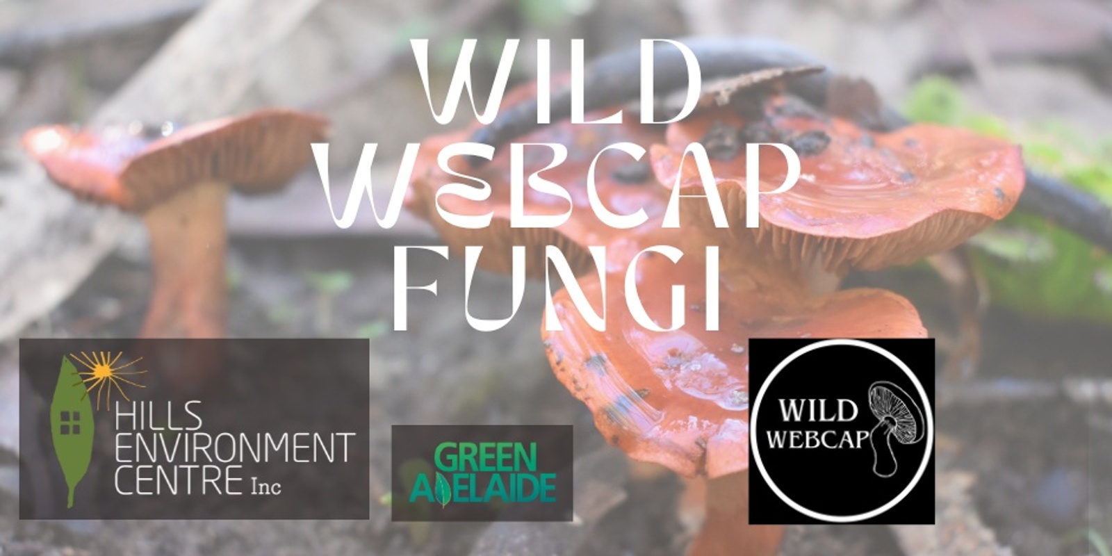 Banner image for Wild Webcap Fungi workshop