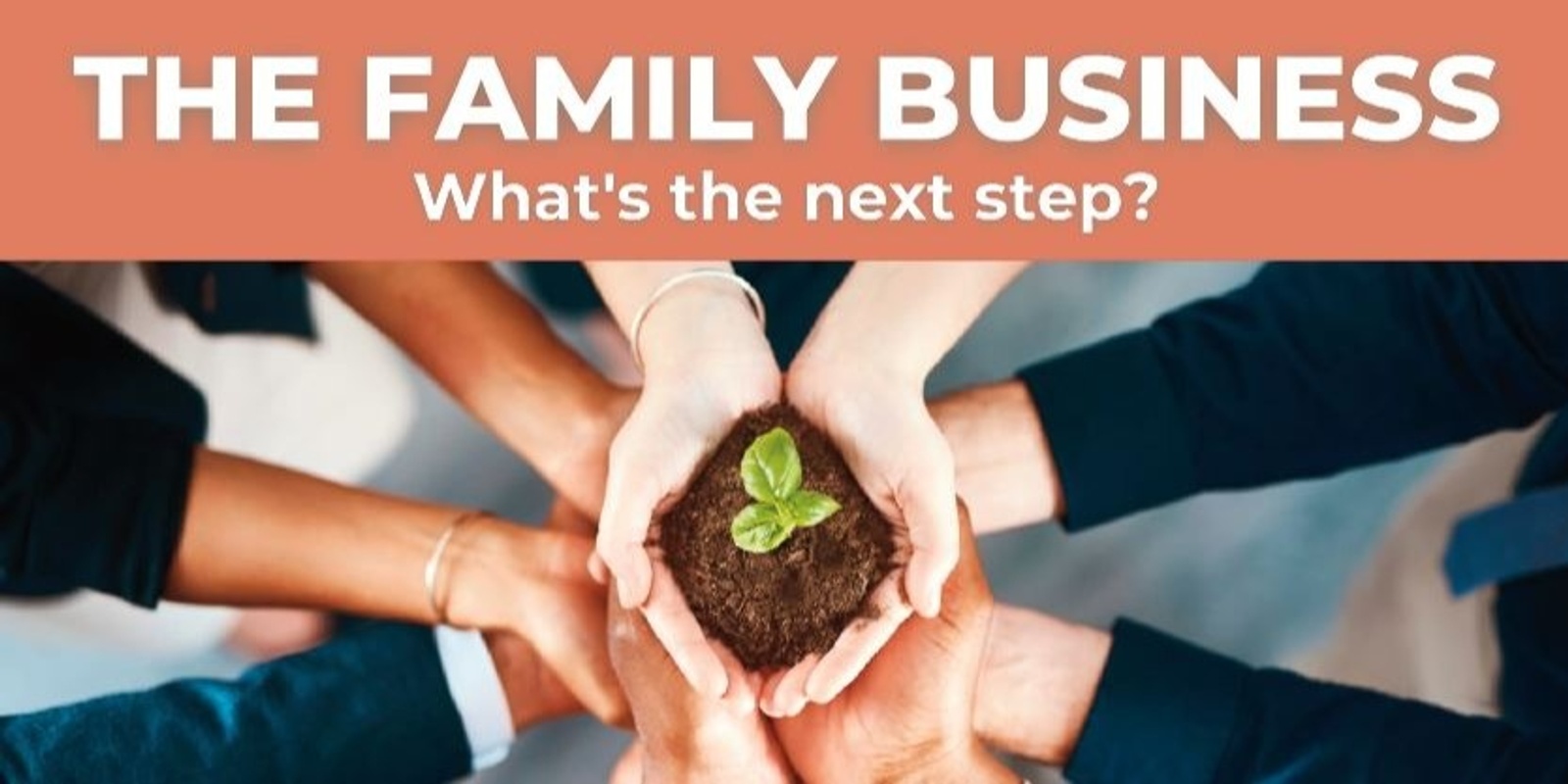 Banner image for The family Business - What's the Next Step?