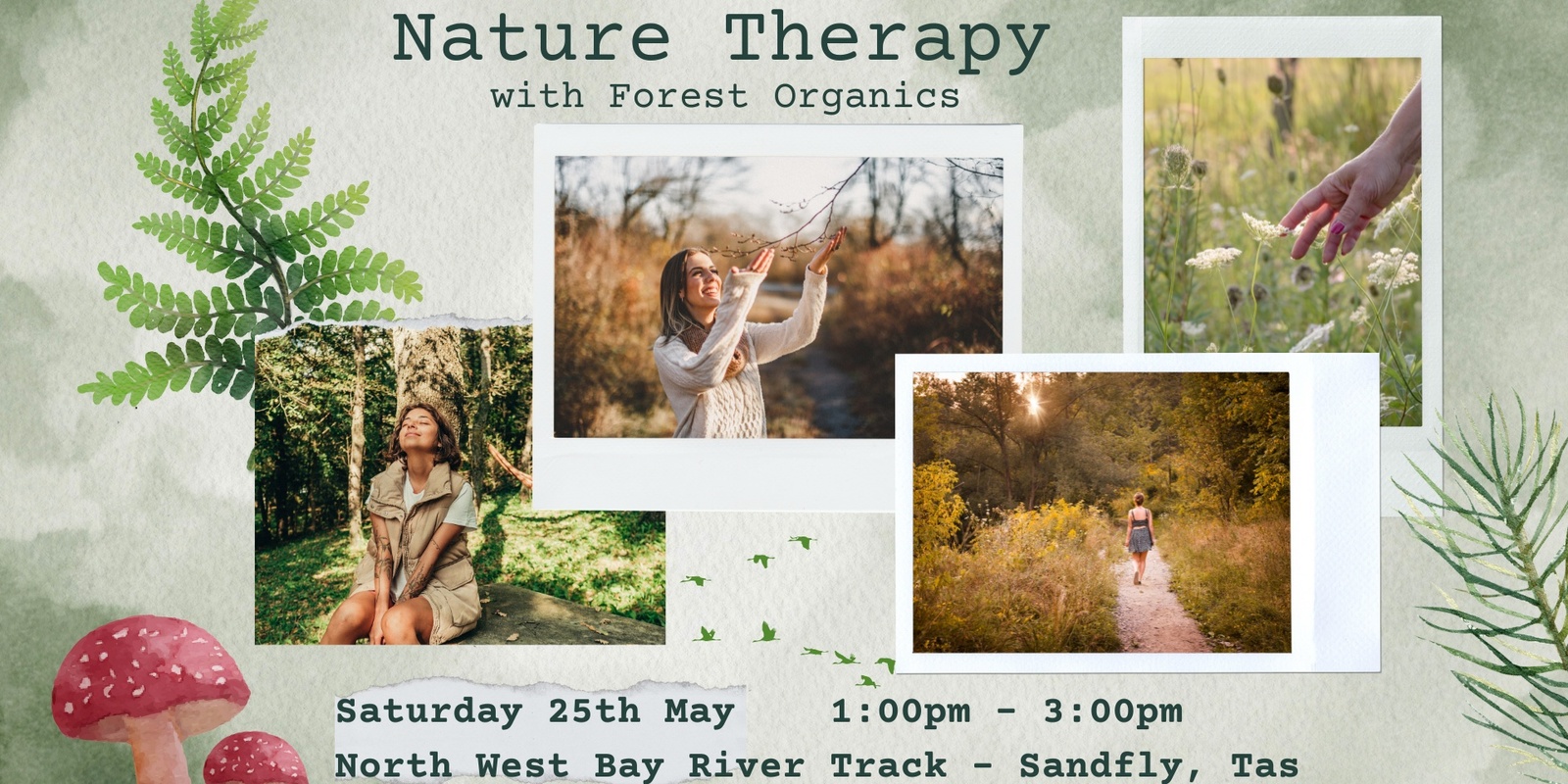Banner image for Nature Therapy with Forest Organics: Saturday 25th May - Sandfly, Tasmania
