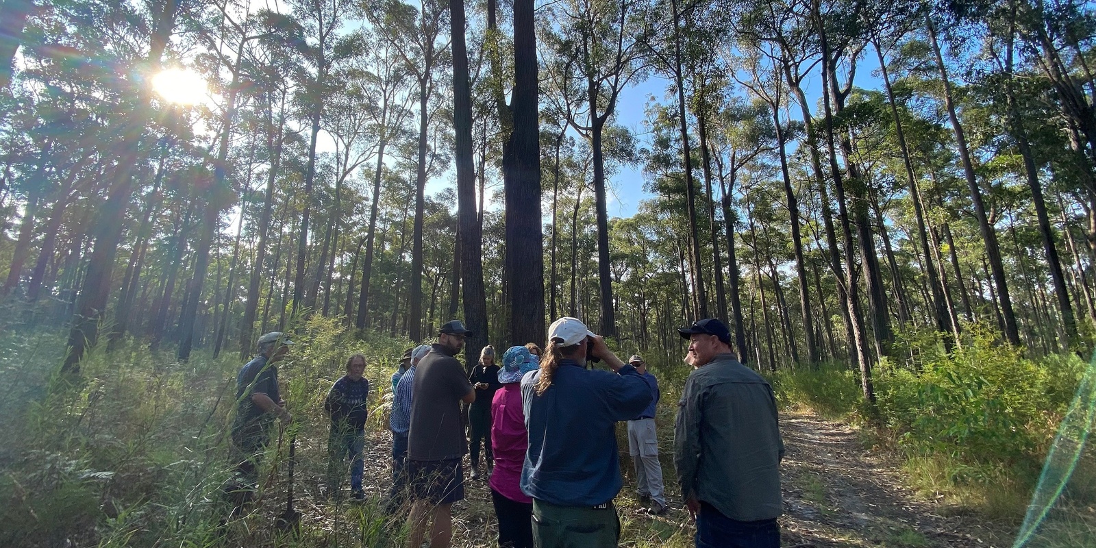 Gippsland Forest Dialogue's banner