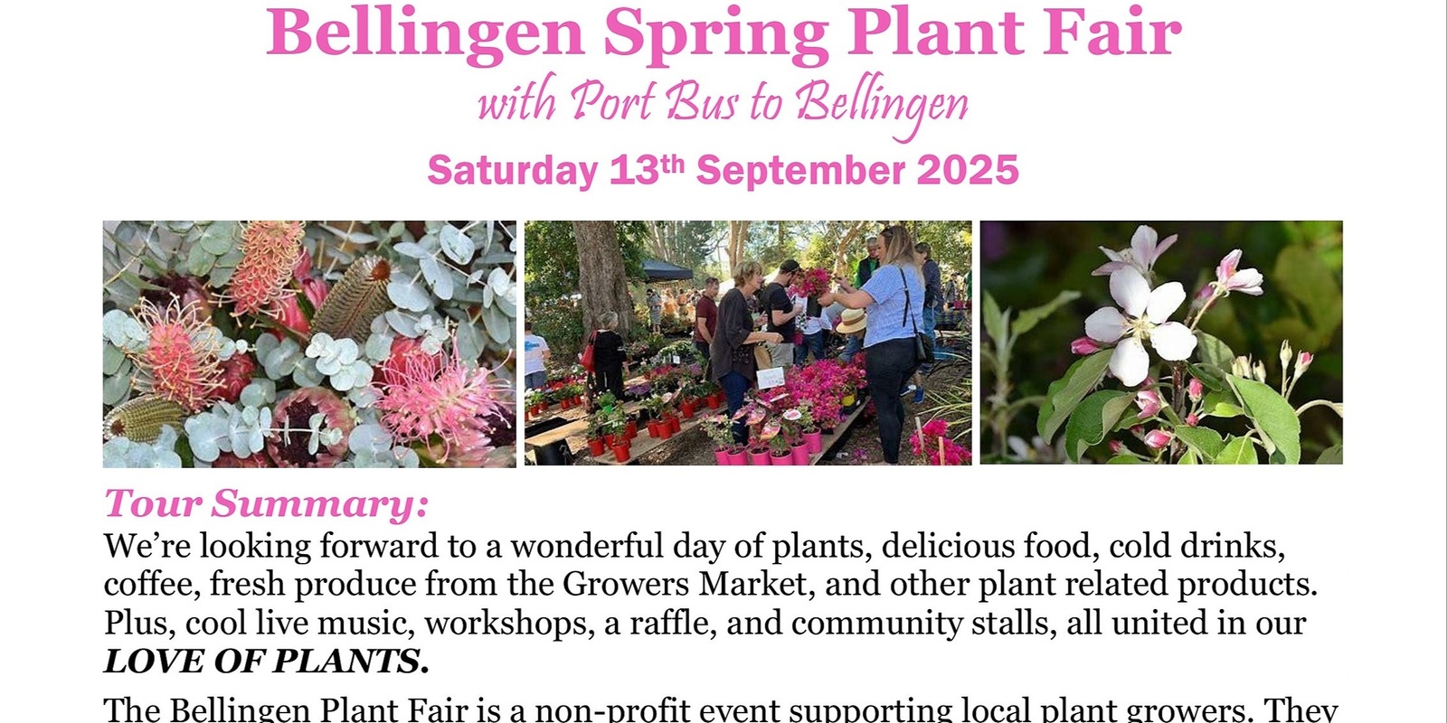 Banner image for Bellingen Spring Plant Fair