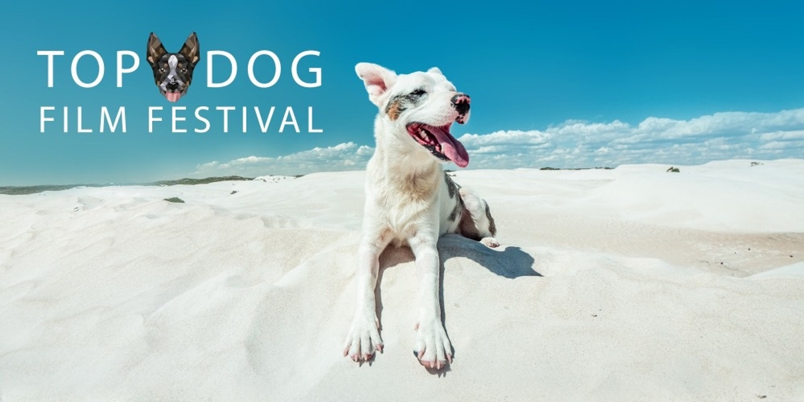 Banner image for Top Dog Film Festival 2023 - Astor Tues 29 Aug 23 7pm