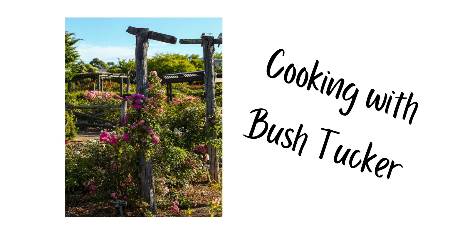 Banner image for Cooking with Bush Tucker