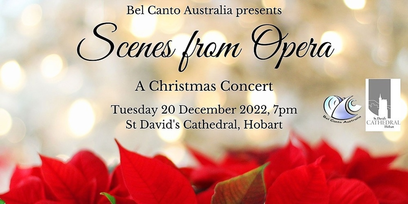Banner image for Scenes from Opera: A Christmas Concert