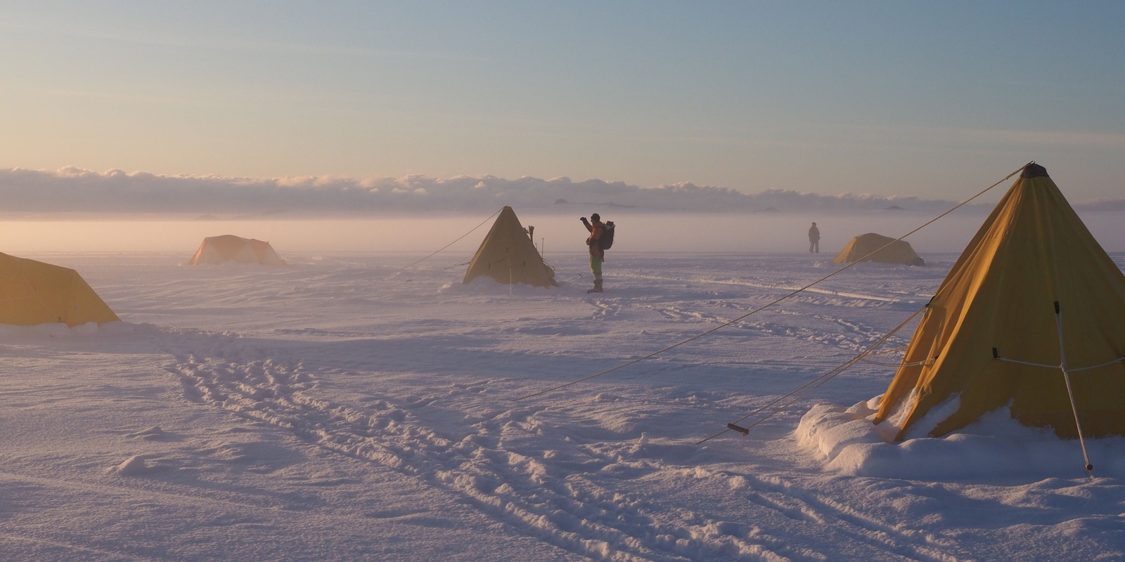 Banner image for Antarctica's Icy Architecture