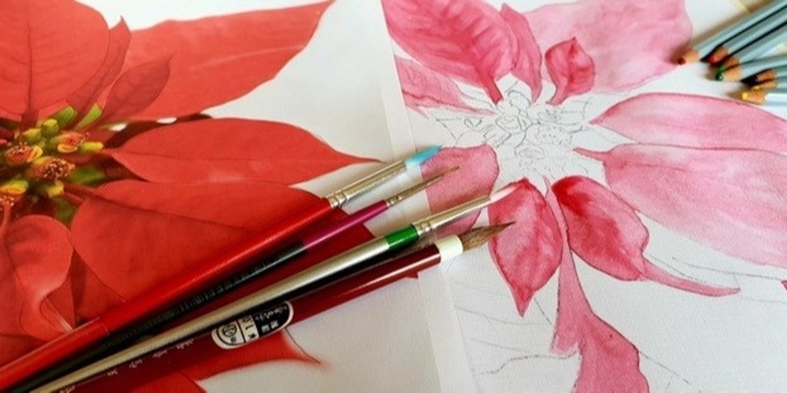 Banner image for Poinsettia in Pencil and Watercolour Wash