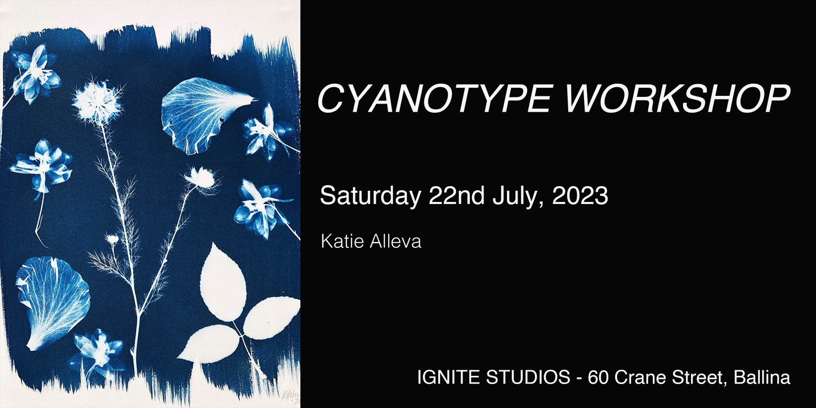 Banner image for BOTANICAL CYANOTYPE WORKSHOP with KATIE ALLEVA