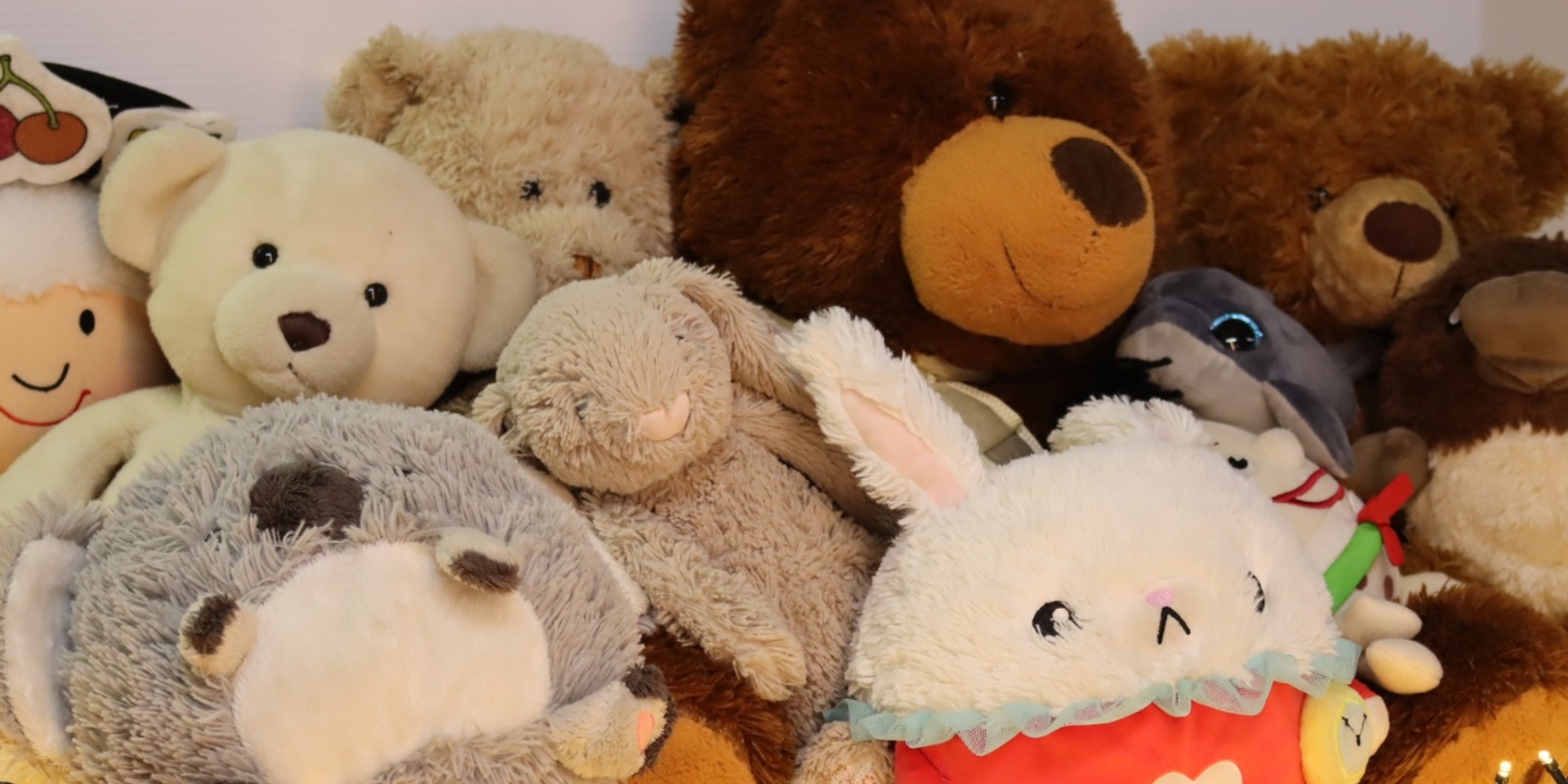 Banner image for Teddy Bear Sleepover at the Library