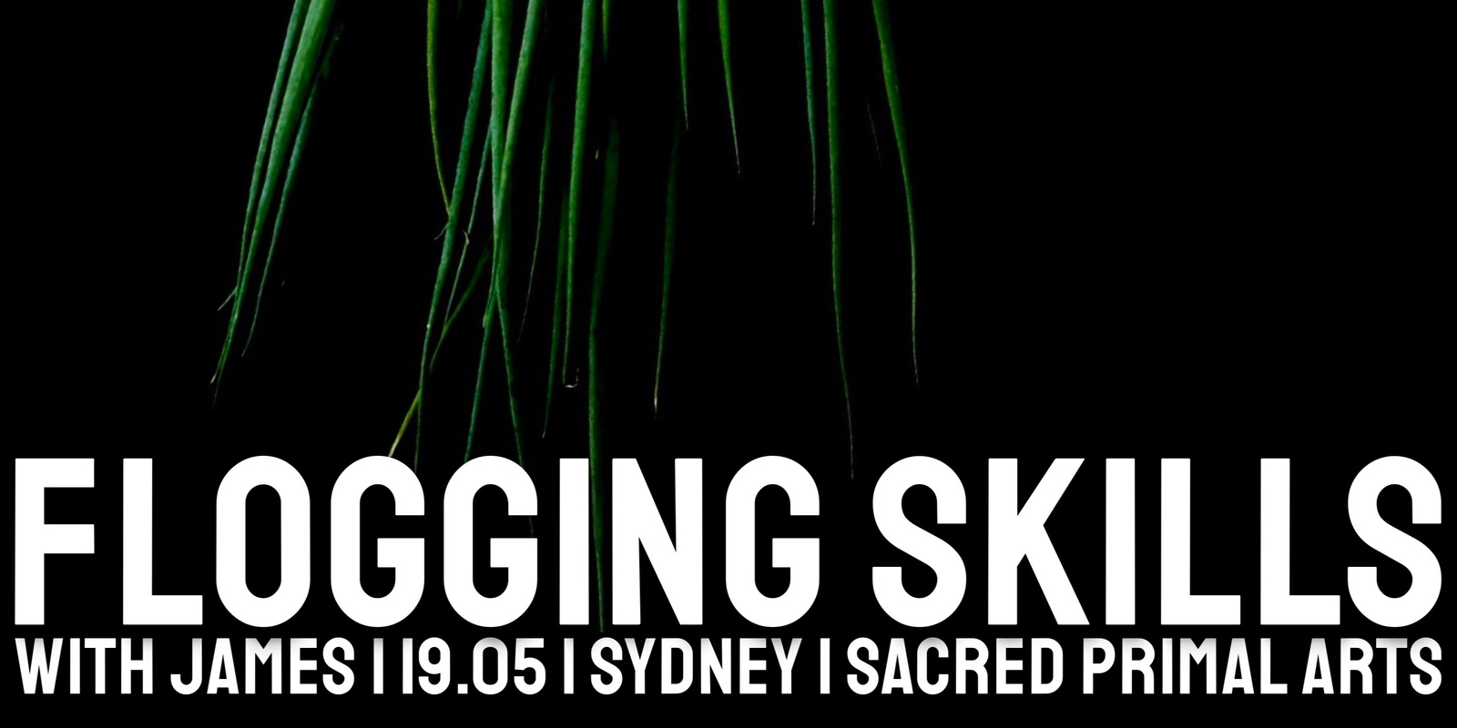 Banner image for SYDNEY Flogging Skills