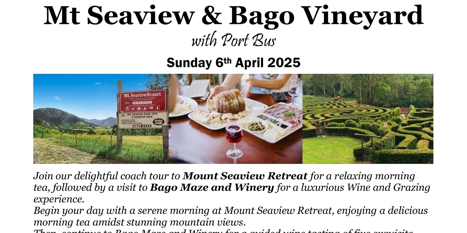 Banner image for Mt Seaview Resort & Bago Vineyard Day Tour