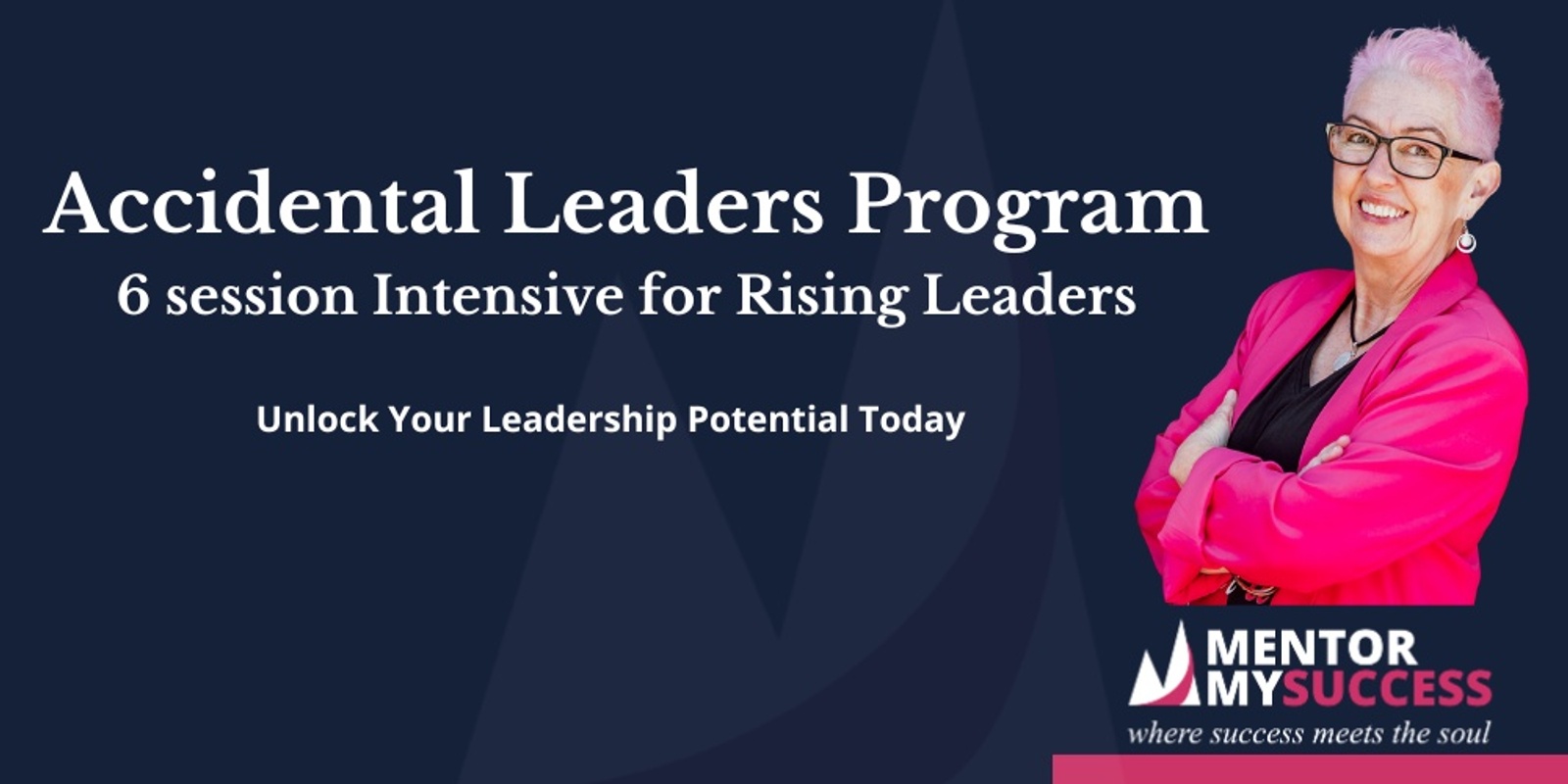 Banner image for Accidental Leaders Program: Nurturing Visionary Leadership