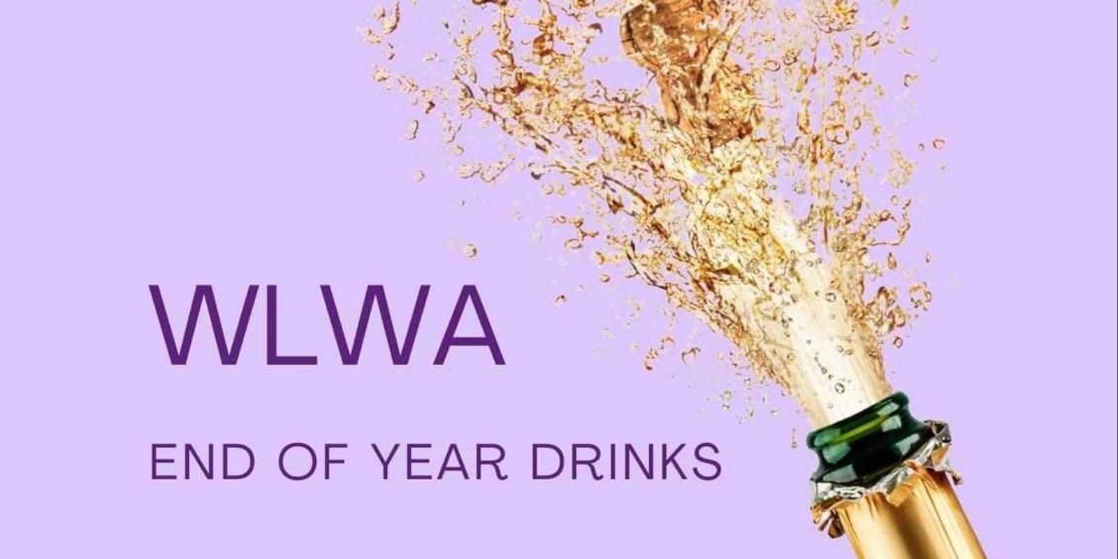 Banner image for WLWA End of Year Event 