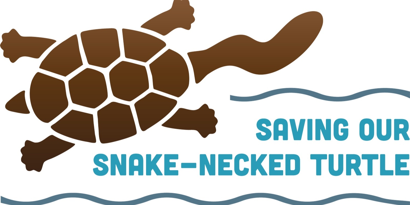 Banner image for Become a turtle tracker: saving our Snake-necked Turtle