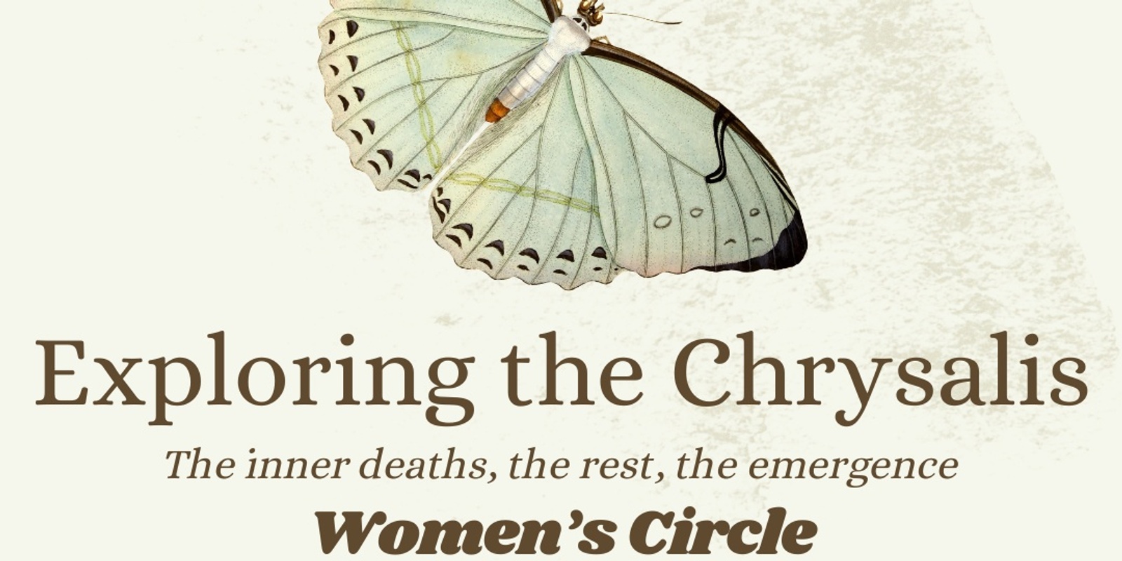 Banner image for Chrysalis Women's Circle