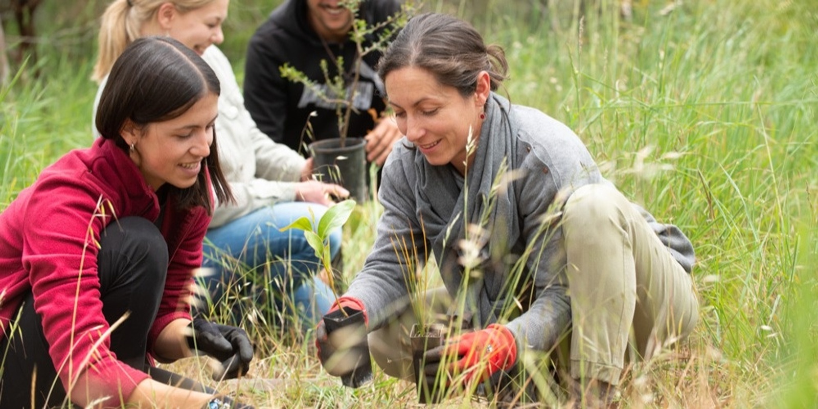 Banner image for Nature Fest: Vine to Glass at NGERINGA