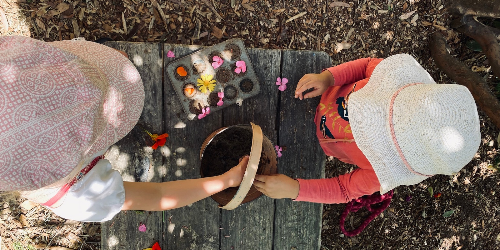 Banner image for The Vital Role Play in Childhood - SCHOOLS