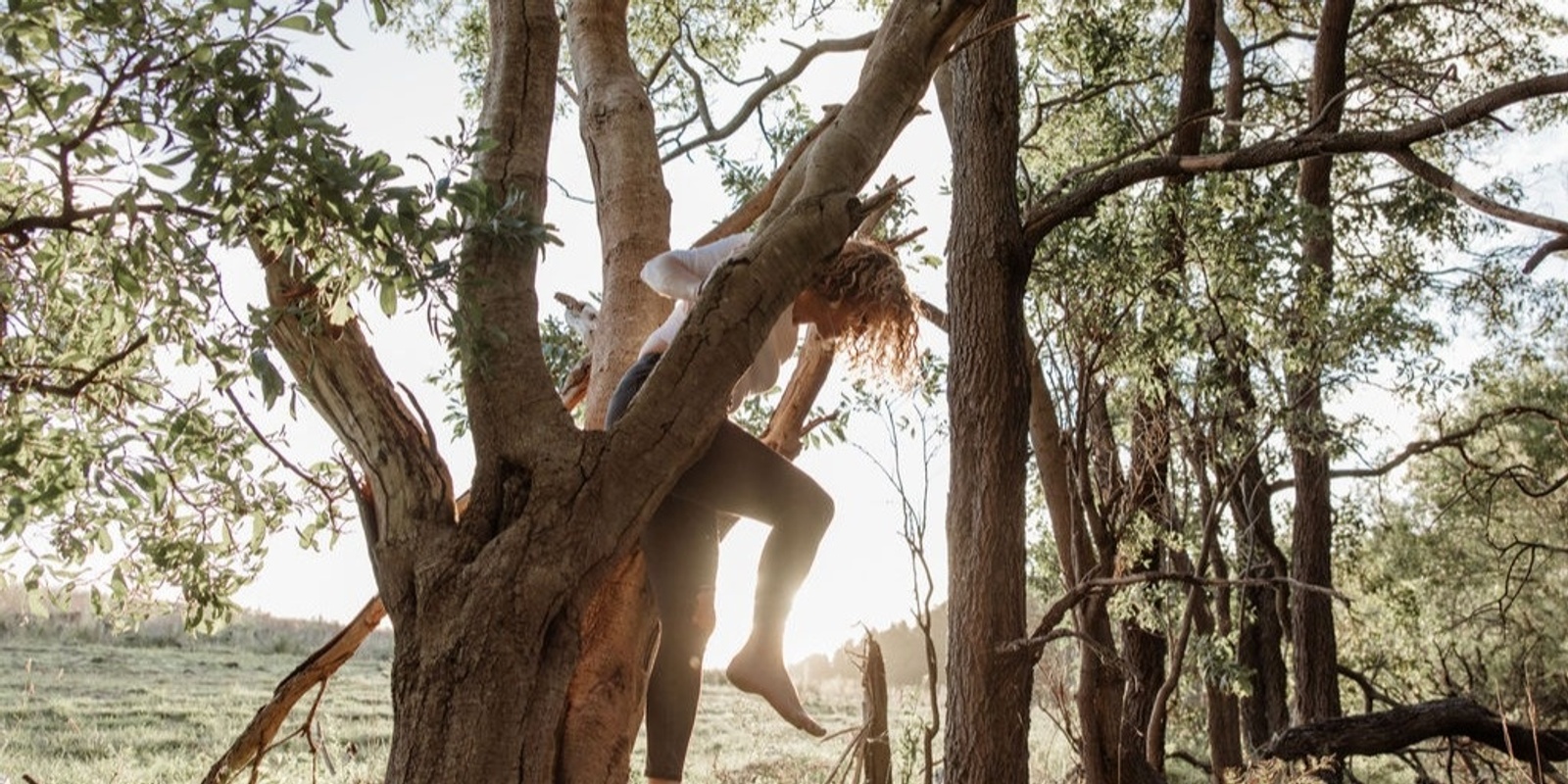 Banner image for Spring Equinox - Welcoming back the light...