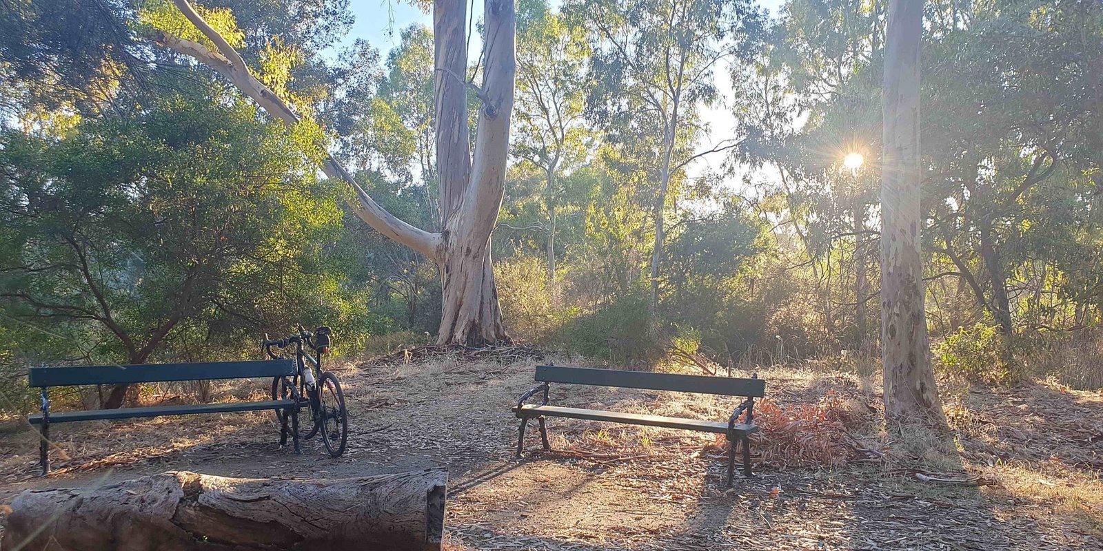 Banner image for Guided Walk thru South-west Park Lands off Anzac Hwy