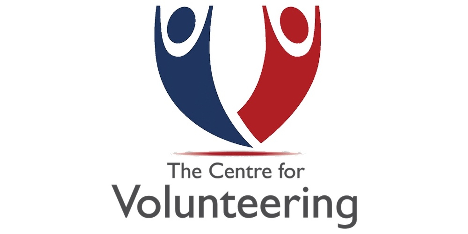 Banner image for Orange Community Consultation - The Centre for Volunteering