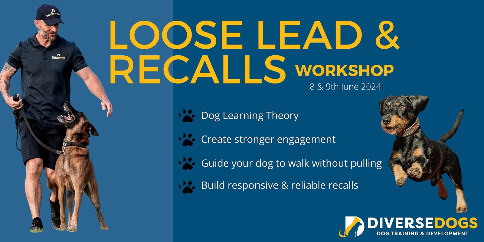 Banner image for DIVERSE DOGS LOOSE LEAD WALKING & RECALLS