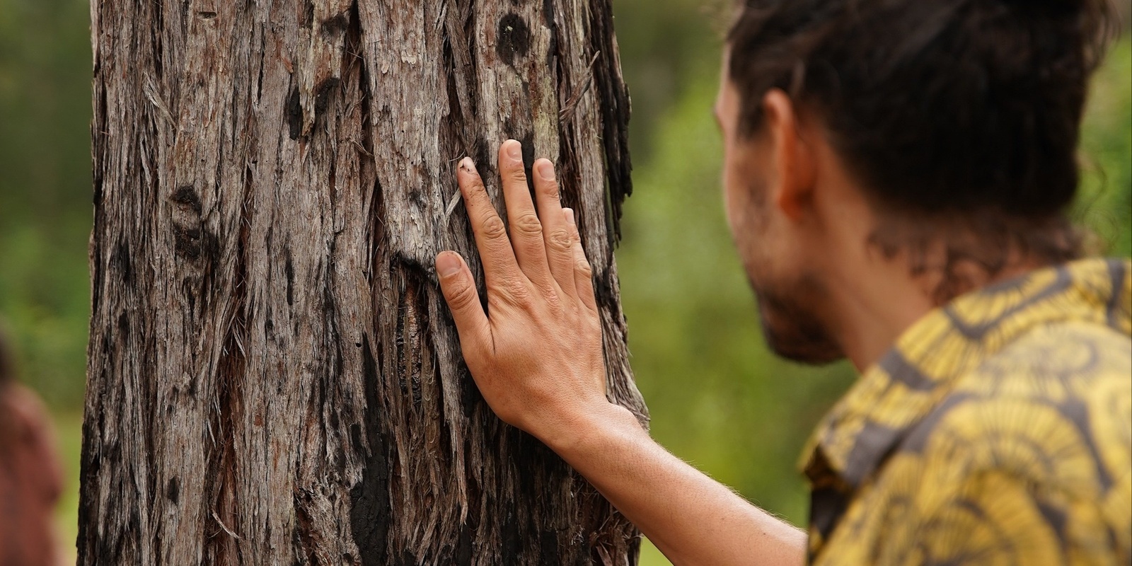 Banner image for Community Forest Therapy Nature Walk 