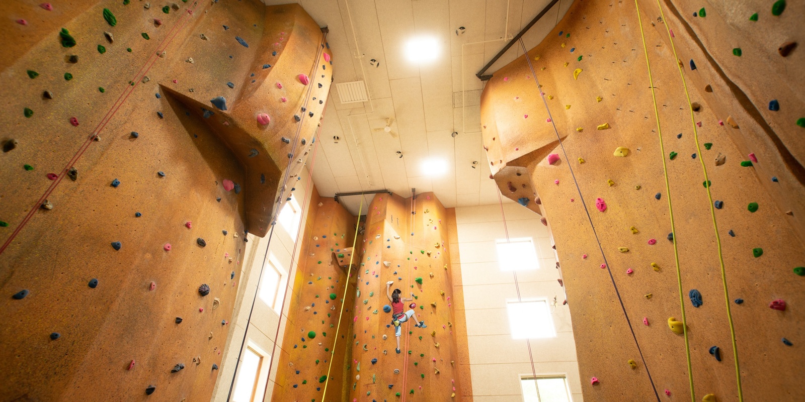 Banner image for Indoor Rock Climb - Presidents' Day