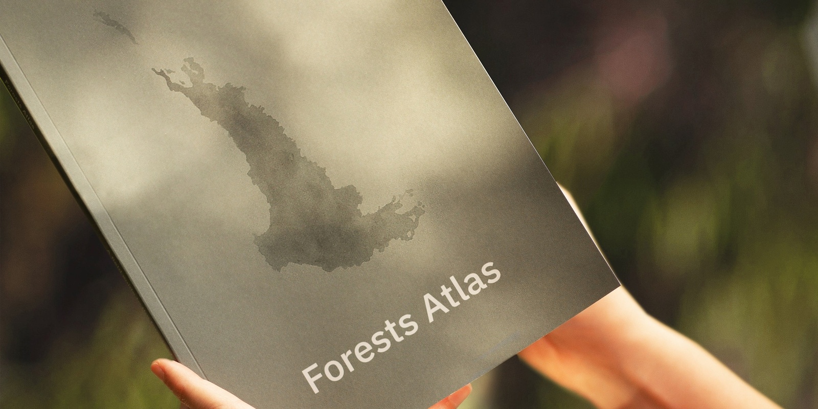 Banner image for Forests Atlas - Author and Artist Talk with Daniel Jan Martin and Alice Ford