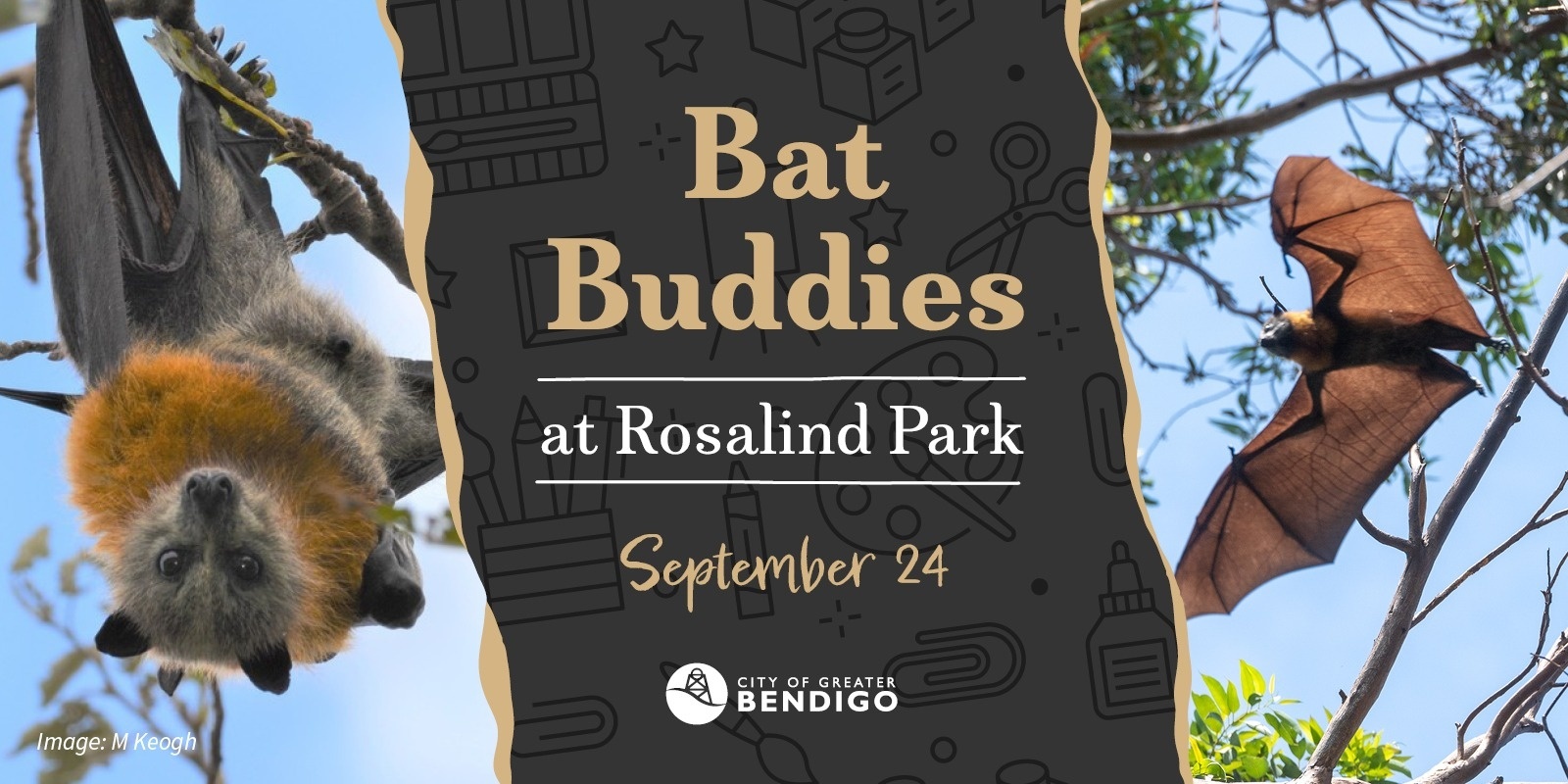 Banner image for Bat Buddies at Rosalind Park