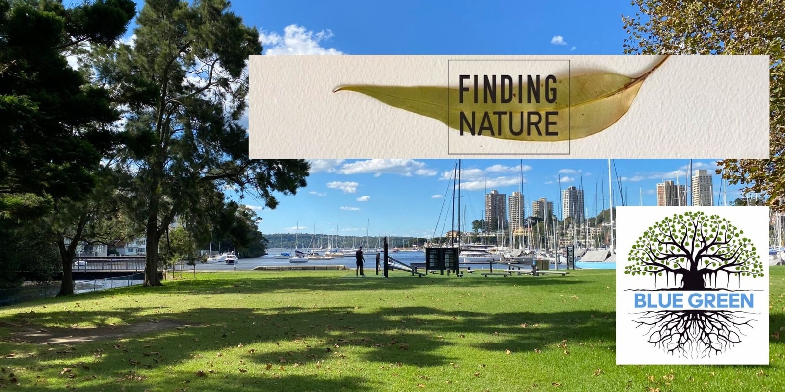 Banner image for Finding Nature Finds (Blue Green) Nature at Yarranabbe