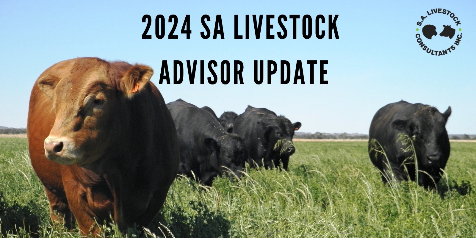 Banner image for 2024 SA Livestock Advisor Update