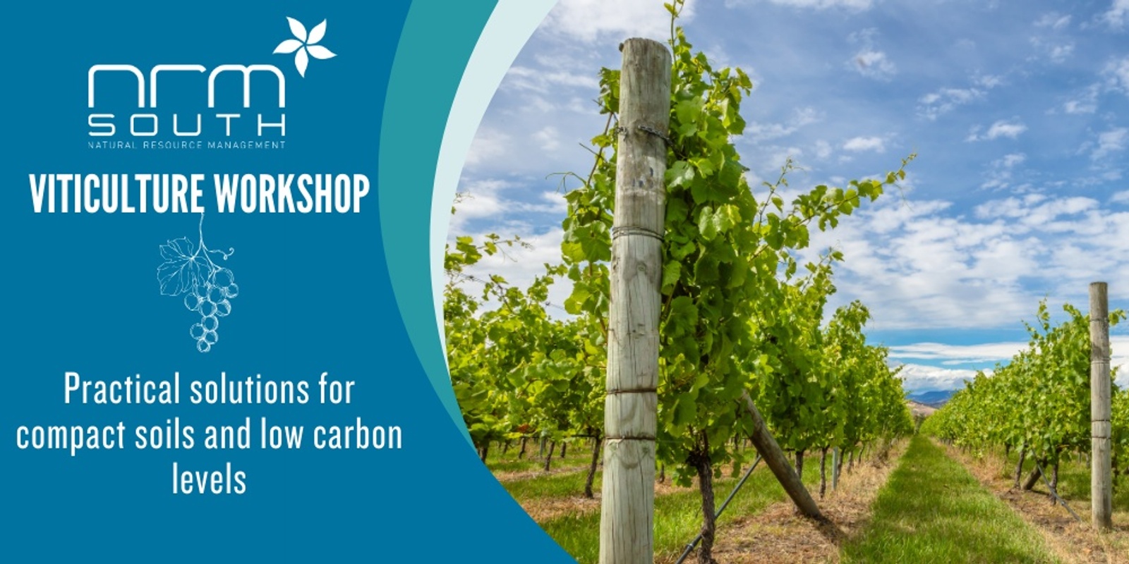 Banner image for NRM Viticulture Series: practical solutions for compact soils and low carbon levels