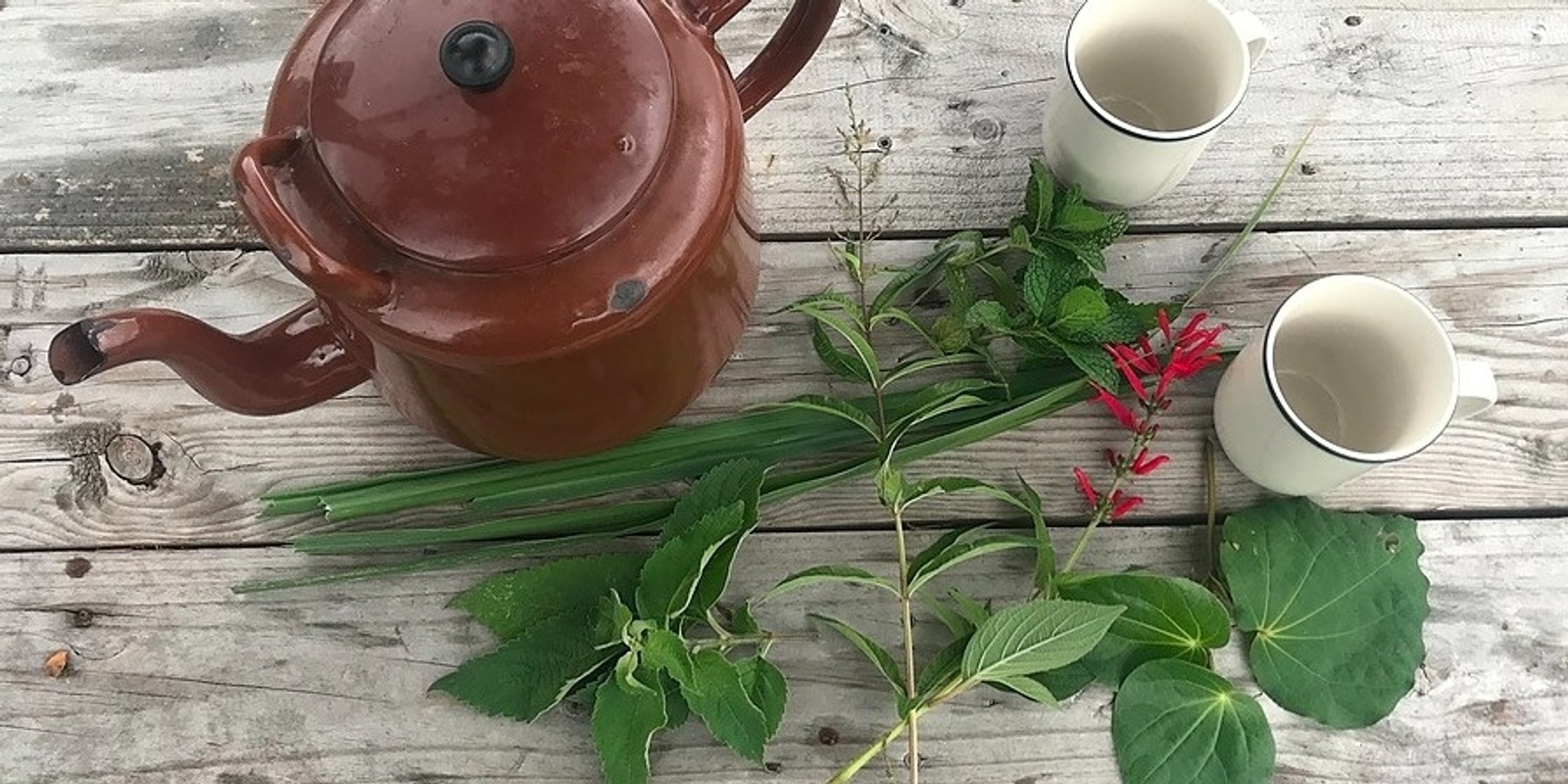 Banner image for Growing & Blending Herbal Teas
