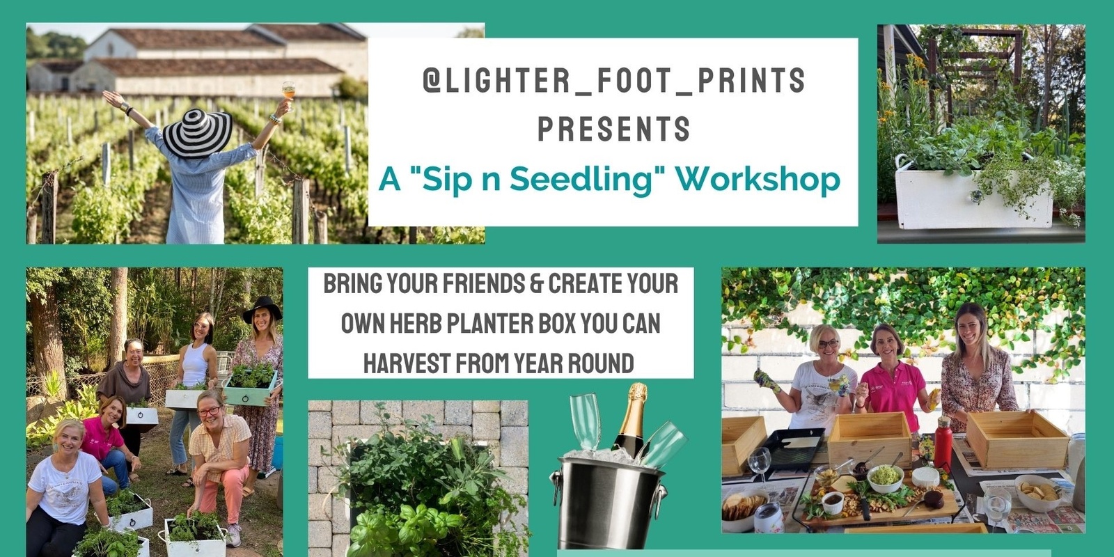 Banner image for Sip 'n Seedling Workshop