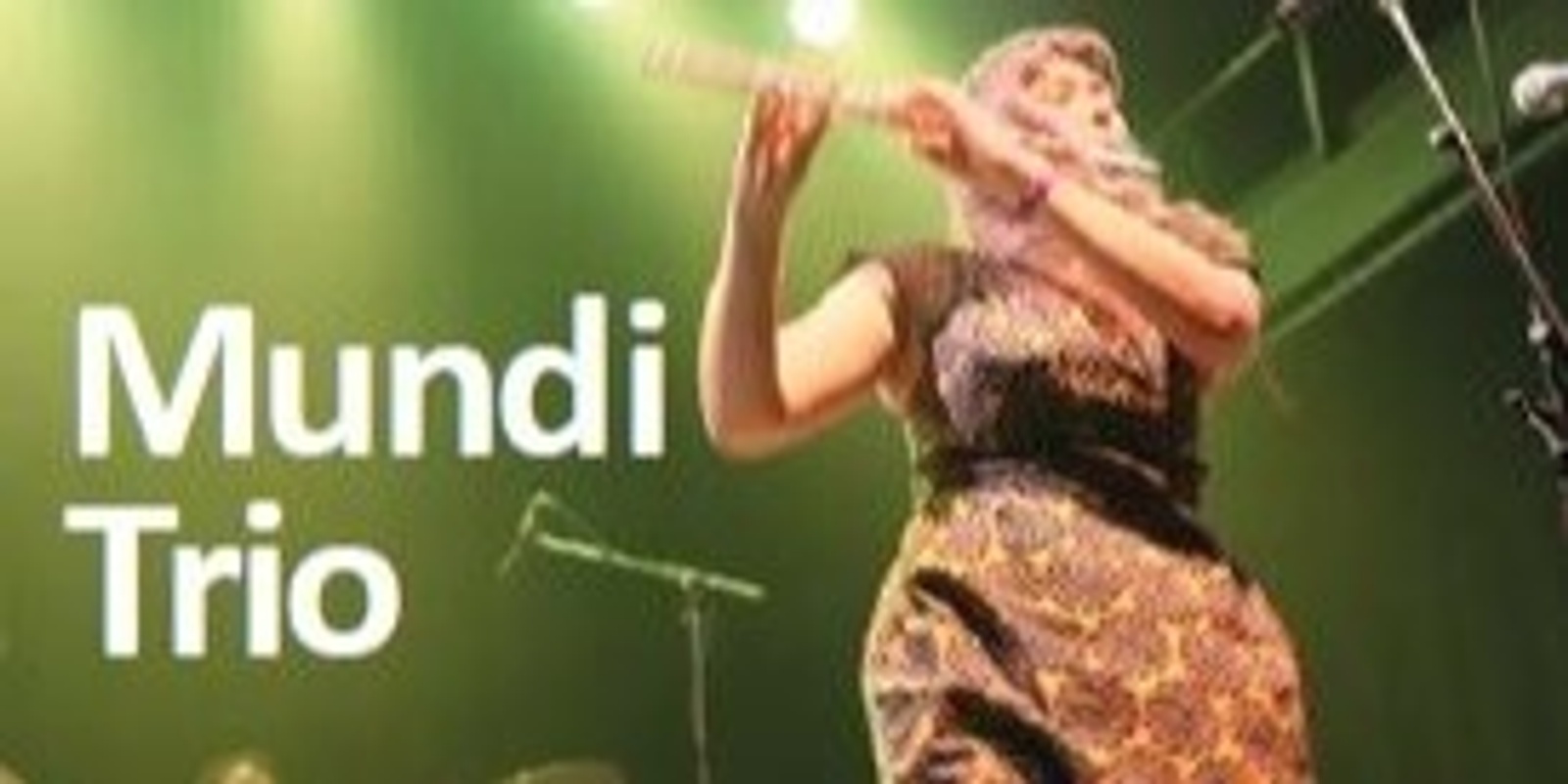 Banner image for Mundi Trio - Arts on Tour 