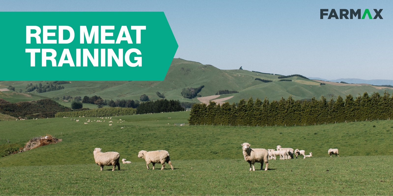Banner image for Ashburton FARMAX Red Meat Training