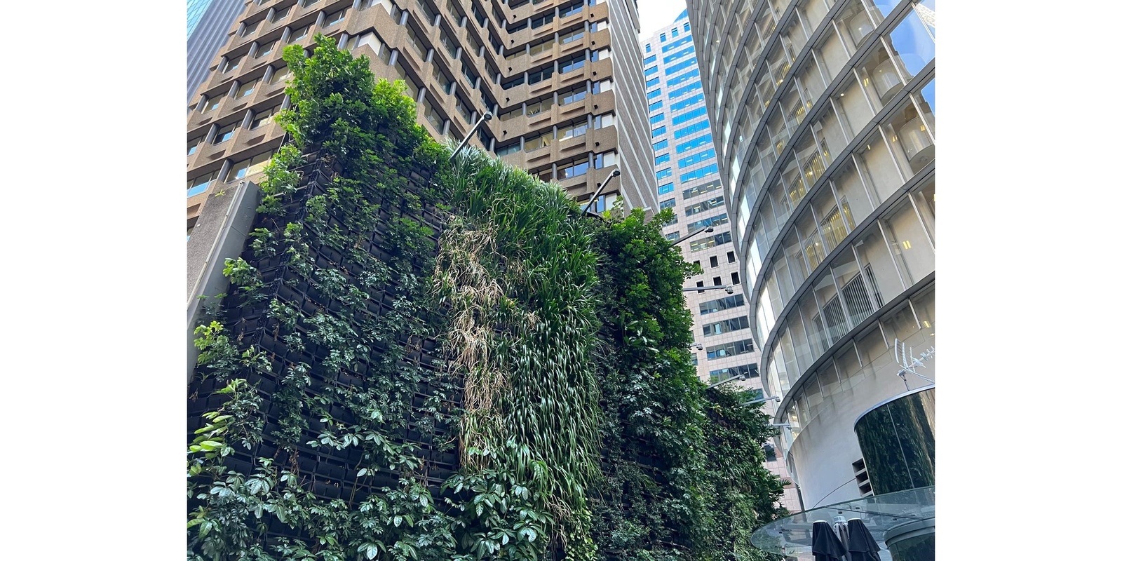 Banner image for Vertical Green: Integrating Nature into Architecture for a Greener and Healthier Future