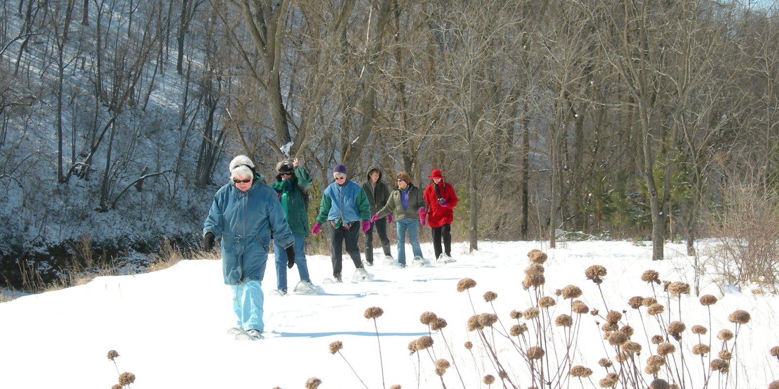 Banner image for Snowshoe Stroll - February 2025