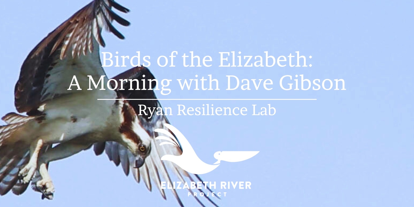 Banner image for Birds of the Elizabeth: A Morning with Dave Gibson